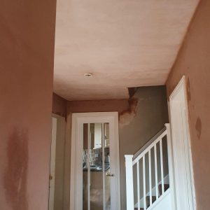 122469850_1034961750336399_181834106028552059_n