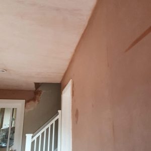 122650318_1034962487002992_2108762970343543882_n